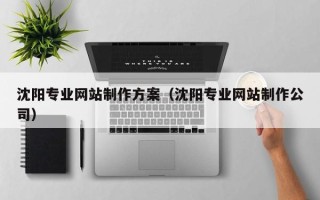 吴忠沈阳专业网站制作方案（沈阳专业网站制作公司）